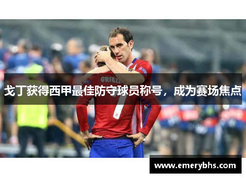 戈丁获得西甲最佳防守球员称号，成为赛场焦点
