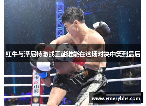 红牛与泽尼特激战正酣谁能在这场对决中笑到最后