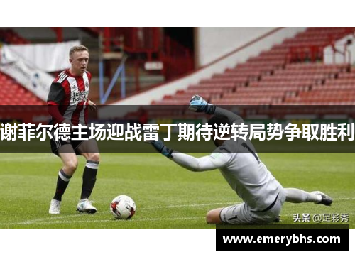 谢菲尔德主场迎战雷丁期待逆转局势争取胜利