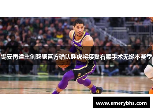 锡安再遭重创鹈鹕官方确认胖虎将接受右膝手术无缘本赛季