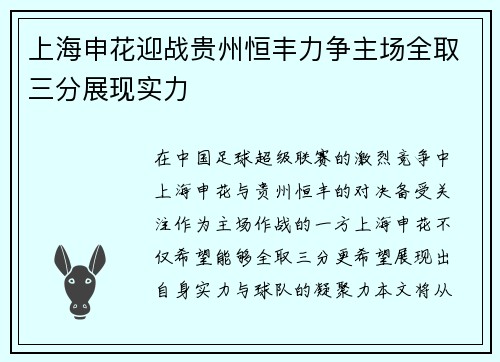 上海申花迎战贵州恒丰力争主场全取三分展现实力
